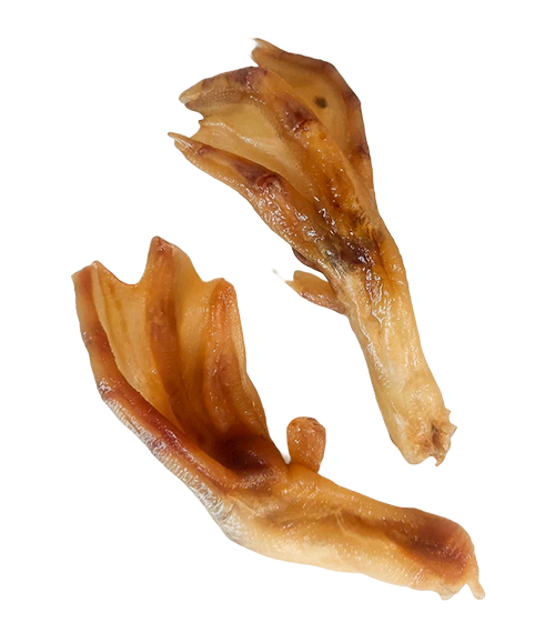 Honcoop Duck Feet Chews – Natural Crunchy Dog Treats